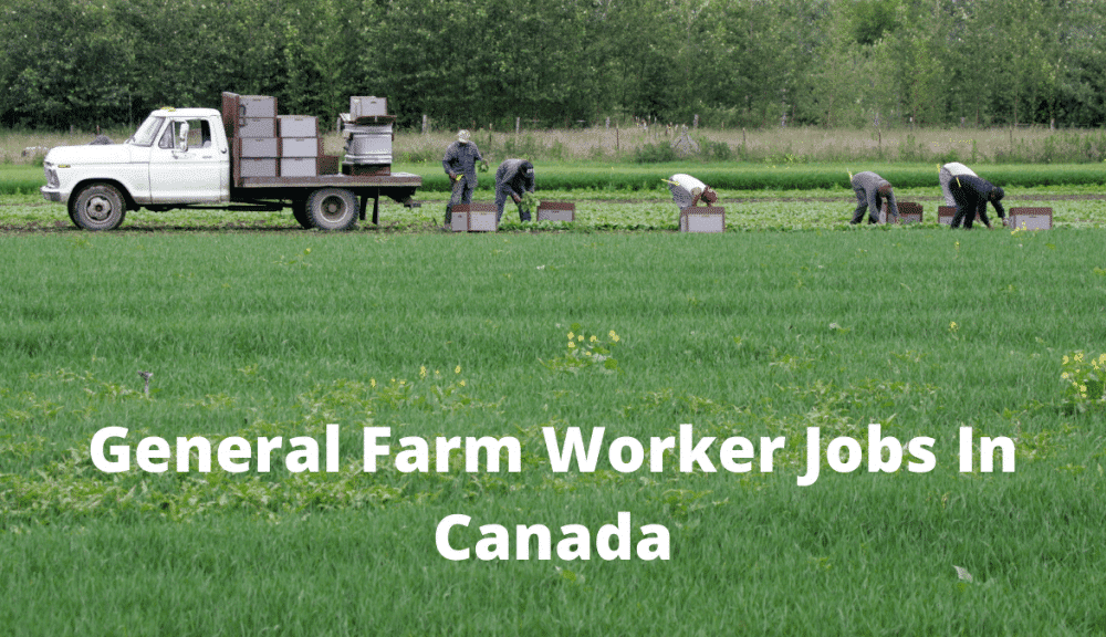 Farmer Is Urgently Needed In Fresh City Farms North York, ON Canada Careers Hub