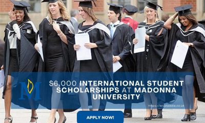 $6,000 International Student Scholarships at Madonna University