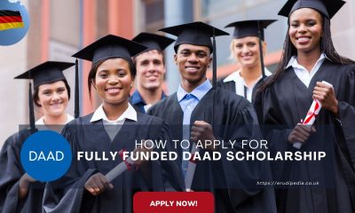 Fully Funded DAAD Scholarship 2024: How to Apply for German Government DAAD Scholarships