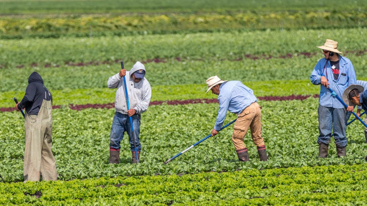Cargill Is Hiring Crop Inputs Labourer - Balcarres, SK