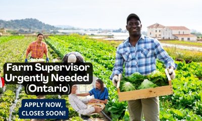 Mid-Man Farms Ltd. Is Now Hiring Farm Workers (LMIA Sponsorship)