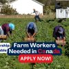 General Farm Labourer Needed – (Sponsorship Available)