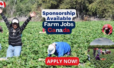 OKANAGAN SUNSHINE FRUIT PACKER LTD. Is Now Hiring Farm Labourers (SPONSORSHIP AVAILABLE)