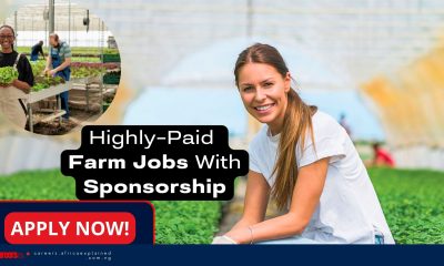 Domric International Ltd. Is Hiring Greenhouse Worker (SPONSORSHIP AVAILABLE) – Ruthven, ON)