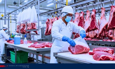 Work For Foreigners with Sponsorship – Butcher