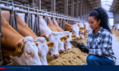 Farm Jobs in Canada with Sponsorship – Chilliwack, BC