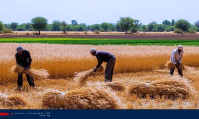 Farm Jobs in Canada with Sponsorship