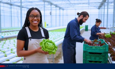 Greenhouse Worker Needed By Domric International Ltd., Ontario - SPONSORSHIP AVAILABLE