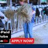 Canwest Farms Ltd. Is Now Hiring Multiple Foreigners as Farm Workers (SPONSORSHIP AVAILABLE)