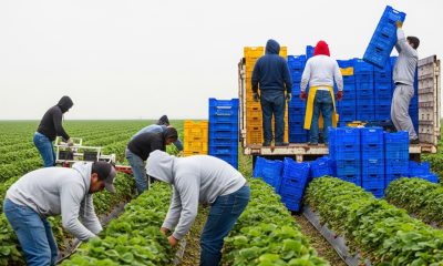 High-Paying Farm Worker Jobs in Canada with Sponsorship