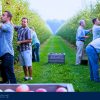 Apple Picking Jobs in Canada with Visa Sponsorship – Ontario