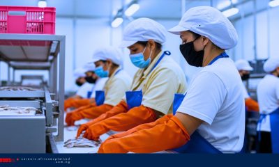 Factory Jobs in Canada with Sponsorship – Ontario