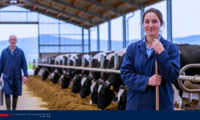 Sponsorships Jobs For Foreigners: Farm Foreman/Woman – Ontario