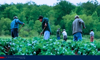 Farm Worker Jobs with Sponsorship – Manitoba