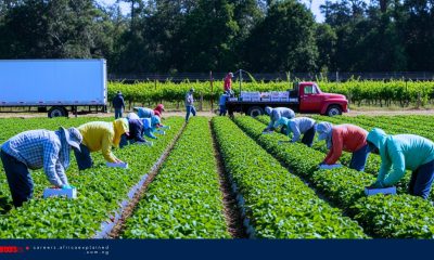 Work For Foreigners with Sponsorship – Farm Worker - Ontario