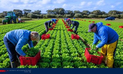 Blackwell Farms is Hiring Multiple General Farm Workers (SPONSORSHIP AVAILABLE)