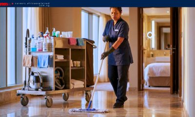 High Paying Light Duty Cleaner Jobs with Sponsorship – APPLY NOW