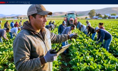 Earn $28.00 per hour as a Farm Worker in Canada (SPONSORSHIP AVAILABLE)