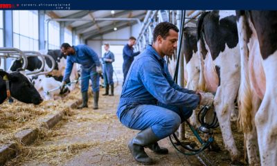 High Paying Farm Worker Jobs in Canada with Sponsorship