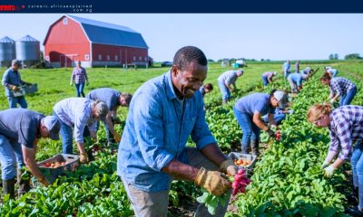 Earn $1,190 as a General Farm Labourer in Canada (SPONSORSHIP AVAILABLE)