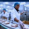 Factory Jobs in Canada with Sponsorship – Orangeville, ON