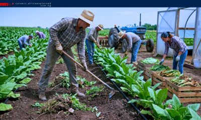 Work for Foreigners with Sponsorship — Farm Worker