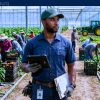 Fraser Hothouse Growers Ltd. is Now Hiring Farm Workers with Visa Sponsorship – APPLY NOW