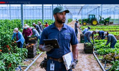 Fraser Hothouse Growers Ltd. is Now Hiring Farm Workers with Visa Sponsorship – APPLY NOW