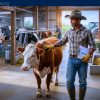 Hillside Farms is Hiring Foreigners (SPONSORSHIP AVAILABLE)
