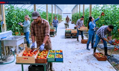 Work For Foreigners: Farm Labourer — Staples, ON