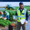 Work For Foreigners: Farm Supervisor — Richmond, BC