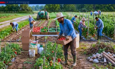 Highly–Paid Harvesting Jobs in Canada with Sponsorship — Langley, BC
