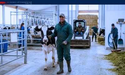 Work For Foreigners: Farm Worker Jobs With Sponsorship