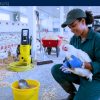 Work For Foreigners: Farm Worker Jobs in Canada with Sponsorship
