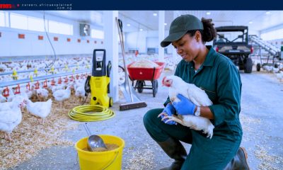 Work For Foreigners: Farm Worker Jobs in Canada with Sponsorship