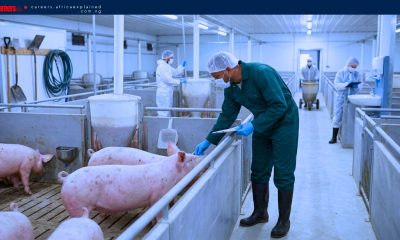 Hope Family Pork Ltd. is Hiring Foreigners (SPONSORSHIP AVAILABLE) — Parkhill, ON