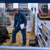 Earn $25.00 per hour as a Farm Worker in Canada - Sponsorship Available