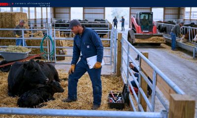 Earn $25.00 per hour as a Farm Worker in Canada - Sponsorship Available