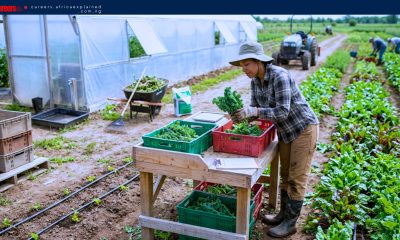 Work For Foreigners: Farm Labourer — Richmond, BC