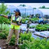 Work For Foreigners with Sponsorship — Nursery Supervisor