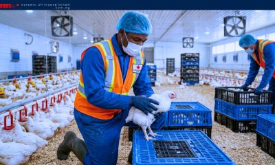 Eden Valley Poultry Inc is Hiring Foreigners (SPONSORSHIP AVAILABLE)