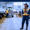 E.L.B.I. Inc. is Now Hiring Foreigners (SPONSORSHIP AVAILABLE) — Manitoba
