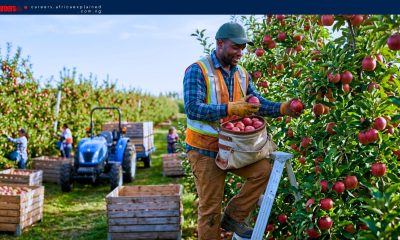 Fruit Worker Jobs in Canada with Sponsorship — Ontario