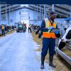 Farm Jobs in Canada with Sponsorship — Linden, MB