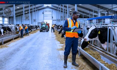 Farm Jobs in Canada with Sponsorship — Linden, MB