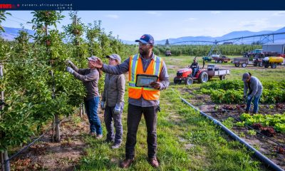 Highly Paid Farm Supervisor Jobs in Canada with Sponsorship — Oliver, BC