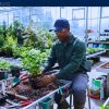 Work For Foreigners: Nursery Labourer — SPONSORSHIP AVAILABLE