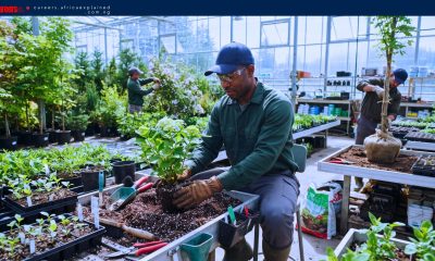 Work For Foreigners: Nursery Labourer — SPONSORSHIP AVAILABLE
