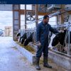Highly-Paid Livestock Labourer Jobs in Canada with Sponsorship