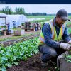 Work For Foreigners: Farm Labourer — SPONSORSHIP AVAILABLE